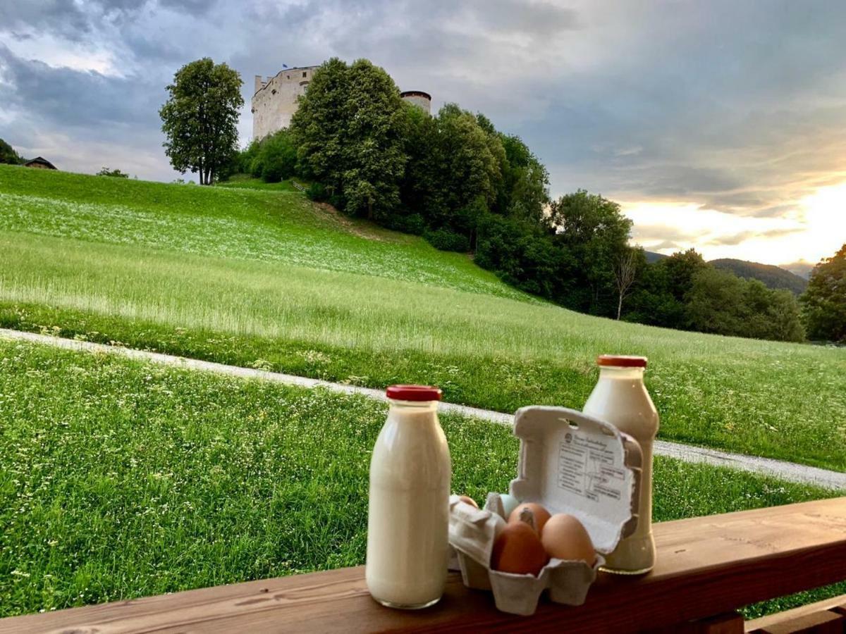 Ferienwohnungen Schlosshausl San Lorenzo di Sebato Bagian luar foto